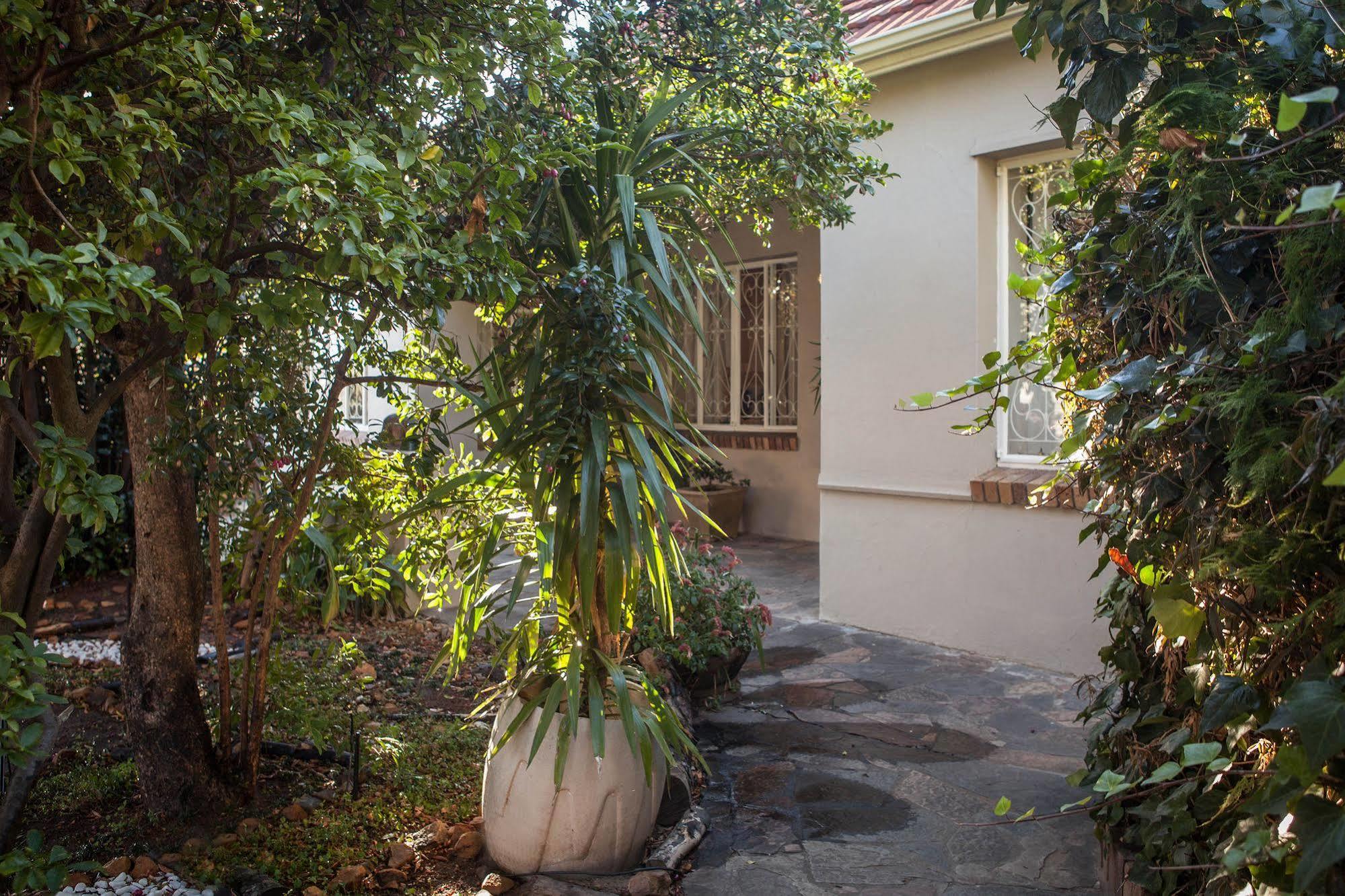 The Lions Guest House Kaapstad Buitenkant foto